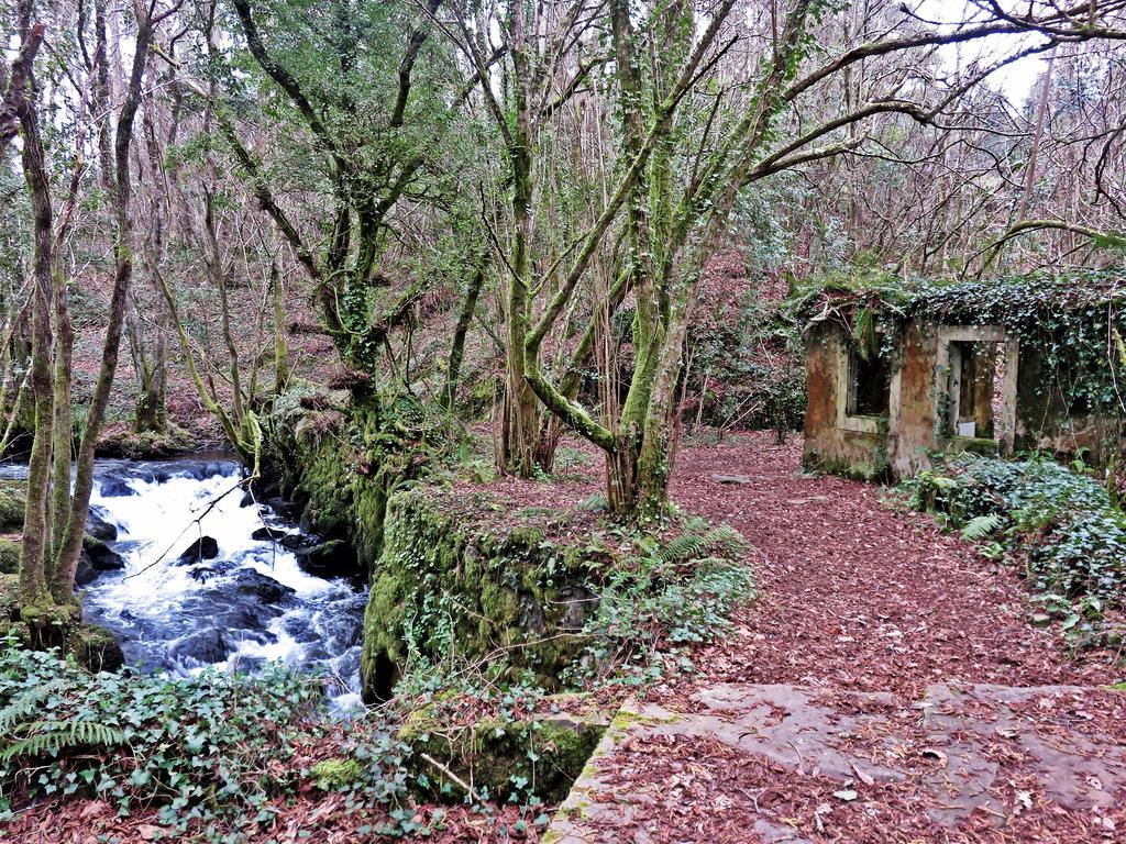 Casa Rural A Pasada Cedeira Dış mekan fotoğraf